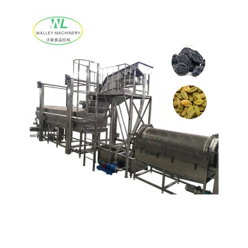 Hotsale Industrial Prune Washer Cascade Washing Machine