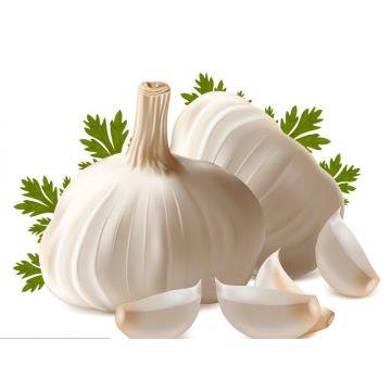 100% natural pure garlic oil no foreign material