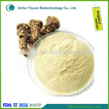 angelica root, angelica slice,anglica extract powder