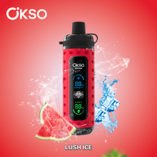 OKSO Shisha Max 40k Puff Disposable Vape Price