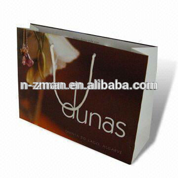 Paper Bag,Paper Bag Printing,Custom Shopping Paper Bag