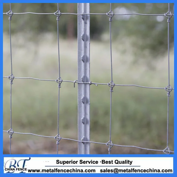 Guardrial Steel Fence T Post for USA Market