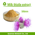 Lait Thistle Extrait Powder Silymarin 80%