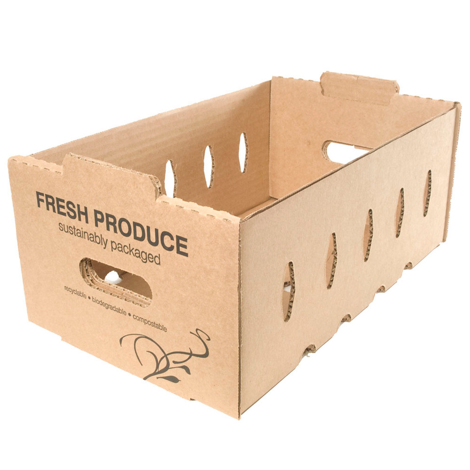 Sustainable Small Master Tray for Fresh Fruit Shipping