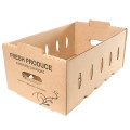 Sustainable Small Master Tray for Fresh Fruit Shipping