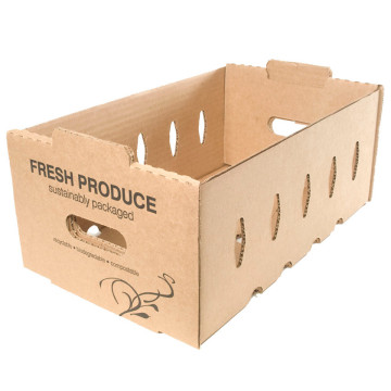 Sustainable Small Master Tray for Fresh Fruit Shipping