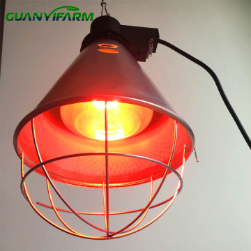 Waterproof Infrared Gold Lampshade for Animal Farm Livestock Lighting