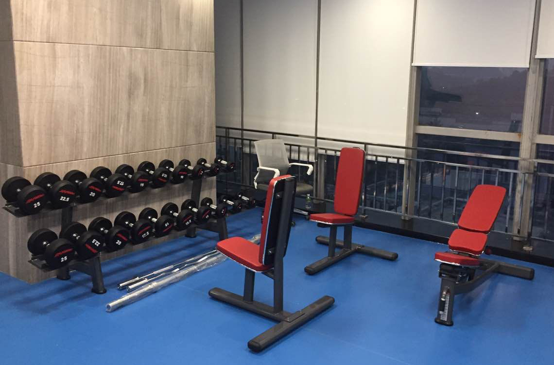 Dumbbells Pull Gym Equipment