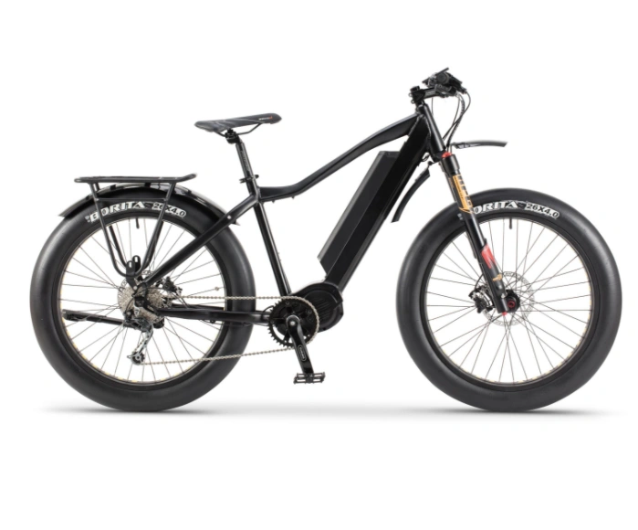 2019 New Design 8fun/Bafang 48V 750W E-Bike with Fat Tire