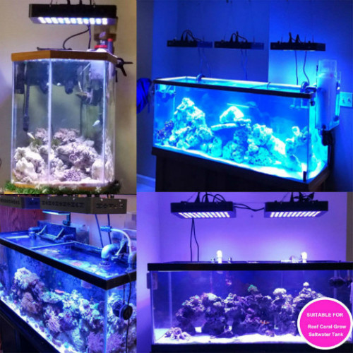 Lâmpada de LED de aquário de aquário popular