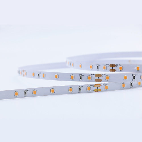 DC24V 2835SMD 300led  pink color strip