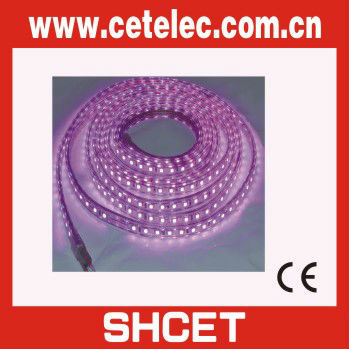 LED Light Swimming Pool Rope Light