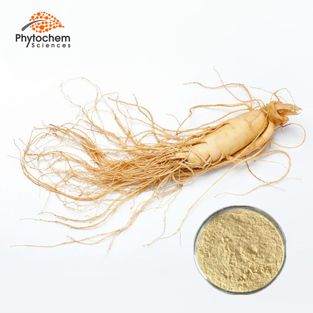 top grade Ginsenoside powder panax wild ginseng root