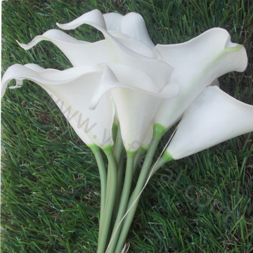 Real touch calla lilies wholesale PU white artificial calla lilies Callie from Xiamen