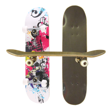 Children 4 Wheels Complete Skate Board