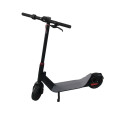 Scooter elettrico da 10 &quot;con ruote larghe