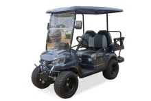 Premium Four-Passenger Gas Golf Vehicle