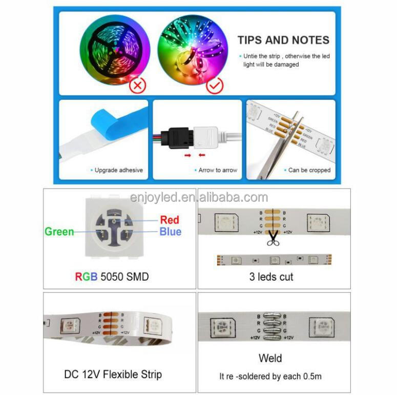 Smart Amazon Alexa Google Home Tuya Wifi BT IP65 Flexible Waterproof Addressable LED Luces Neon 5050 Rgb Kits Led Strip Lights