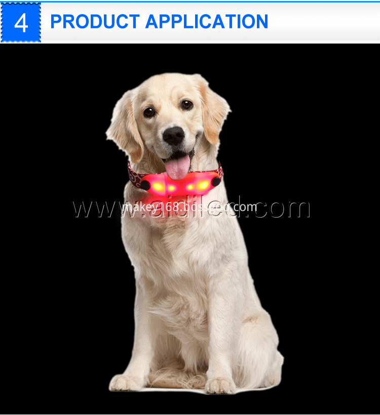 Led Dog Collar Micro Usb Led Dog Collar Micro Usb