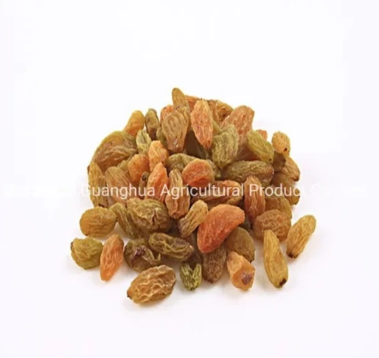 Golden/ Green High Grade Raisins Xinjiang