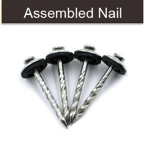 Assembled roofing screw nails