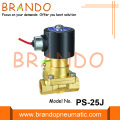 1 İnç Buhar Pirinç Solenoid Valf PS-25 24VDC