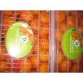 Sweet Nanfeng Baby mandarine