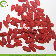 Factory Wholesale Nutrition Dried Fruits Wolfberry