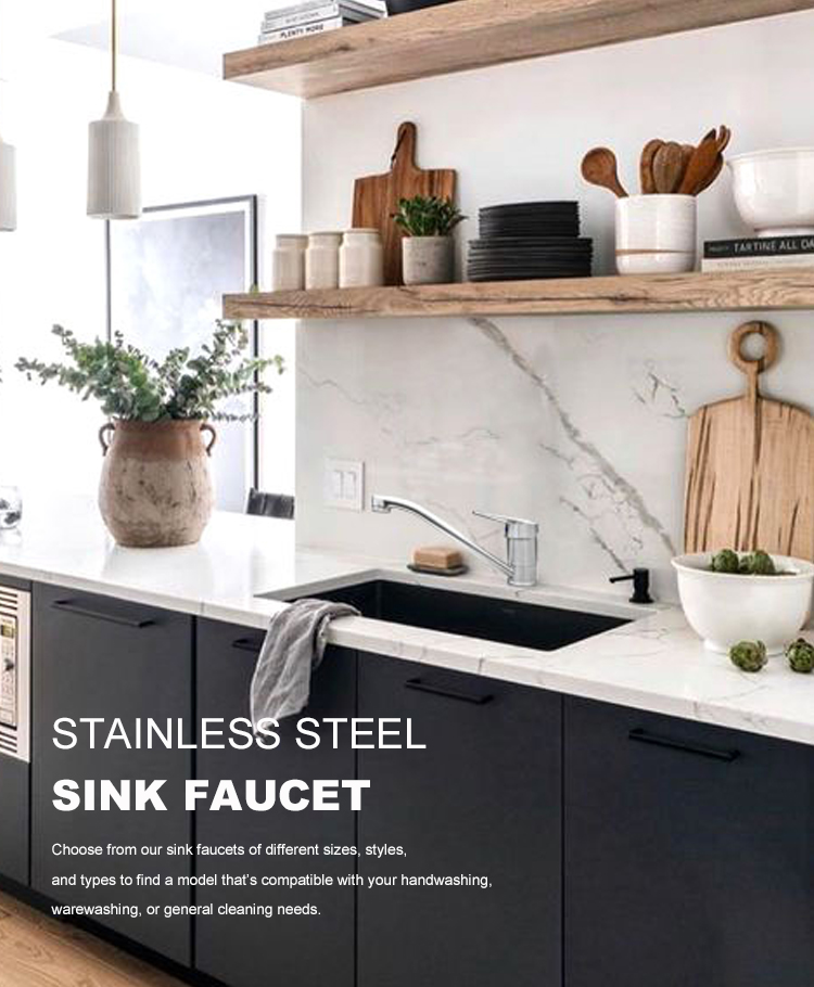 Kitchen Sink Stainless Steel Faucet