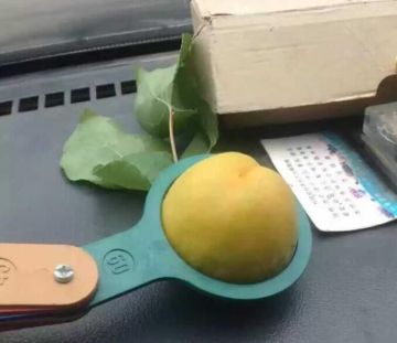 Fresh apricot filling