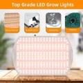 Aglex 180w Cheap Grow Light pour la plantation à domicile