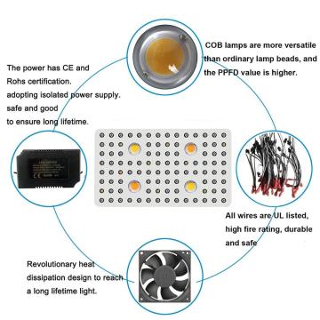 Phlizon 2000W COB LED cresce cor branca clara