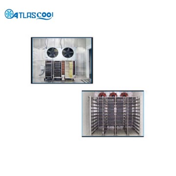 Industrial Blast Freezer Cold Storage Room