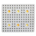 Beste 3000W Cree COB LED Grow Lights 2020