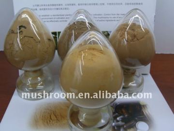 reishi sporoderm -Broken Spore Powder;Ganoderma lucidum extract