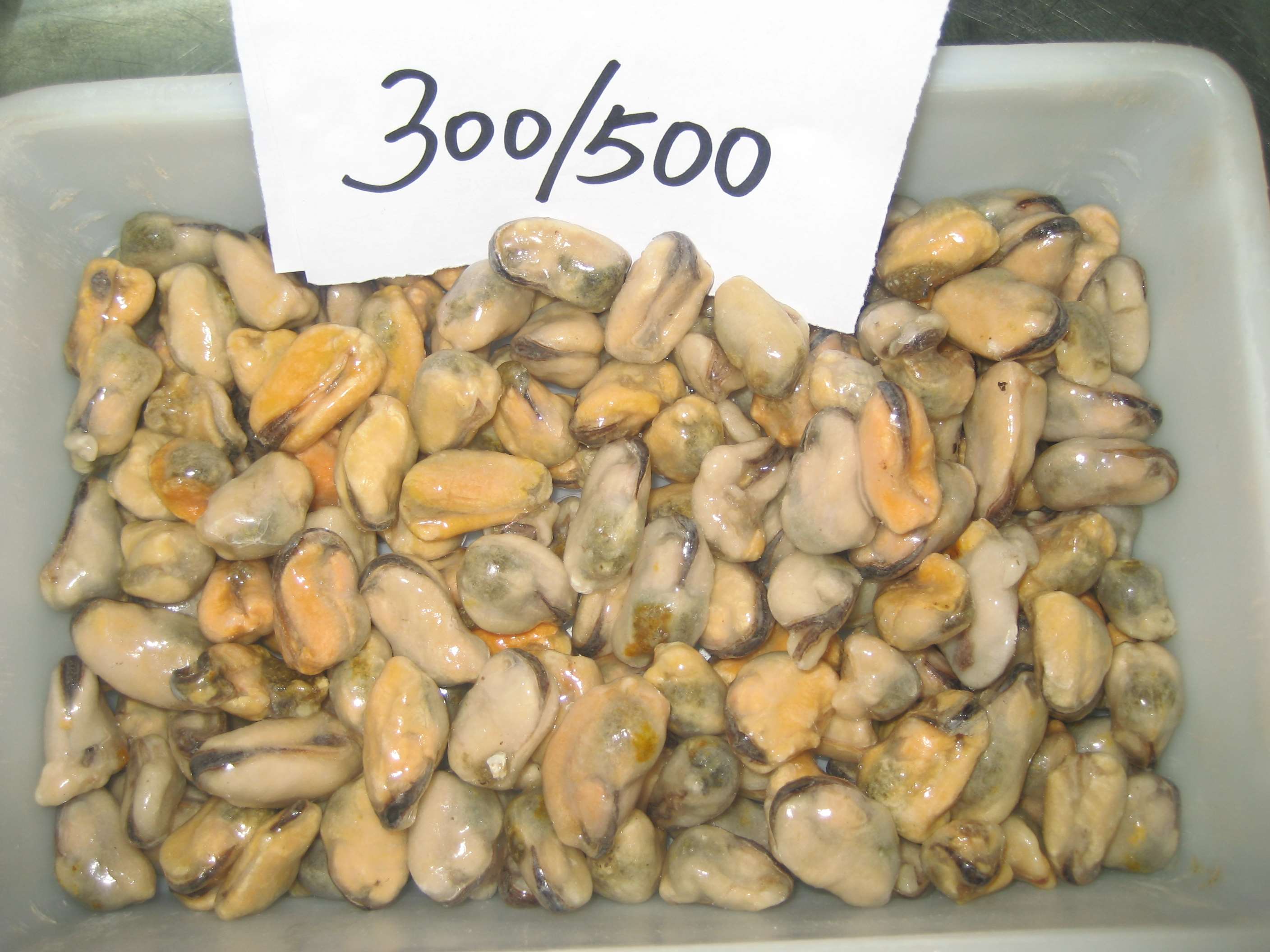 Frozen Fish In Season Frozen Blue Mussel Meat Without Shell Supplier