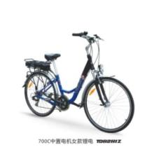 Simple style Electric Bicyle for women
