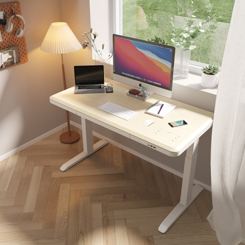 Home Teenagers Automatic OEM LiftingElectric Sit Stand Desk