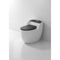 Hotel Luxury One Piece Siphonic Toilet Factory Factory Price