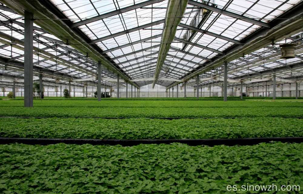 Estructura de casas verdes de agricultura