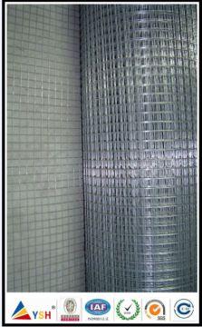 Welded Wir Mesh (GALVANIZED WELDED WIRE MESH, ISO9001: 2008)