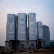 Utility feed storage silos