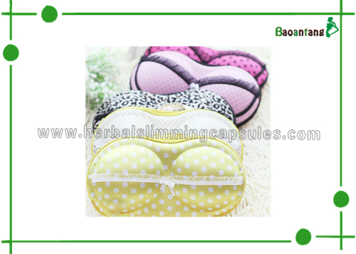 2014 New Style Bra Storage Bag, Travel Portable Bra Bag, Underwear Storage Box