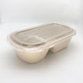 Bagasse Take Away Container Composterable Paper Environment