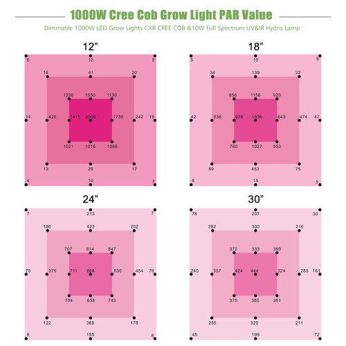 Best Value COB LED Grow light