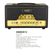 Special 15 Watt Tube Guitar Amp Head