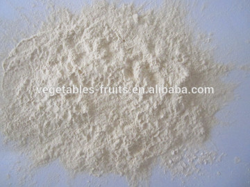 natural garlic extracts powder