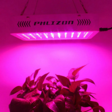Kostenloses Hangs -Kit Phlizon LED Wachsen Licht