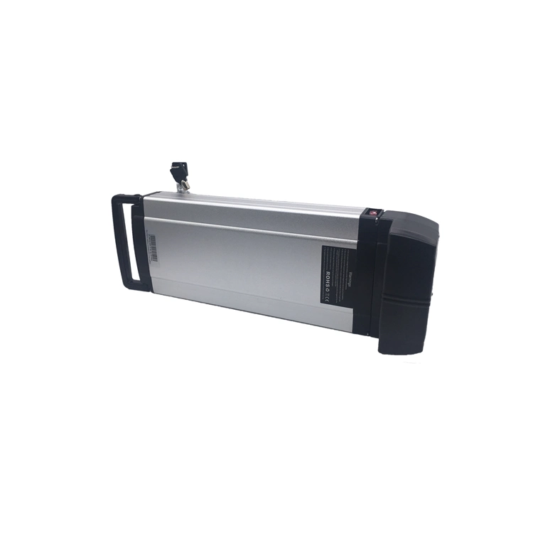 Hot Sell Li Ion 48V 20ah Lithium Battery for Electric Bike