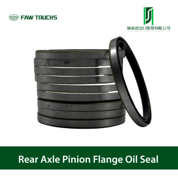 Rear Axle Pinion Flange Oil Seal